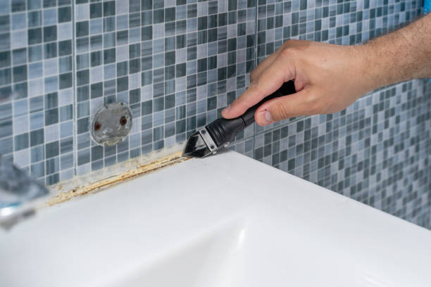 Best Water Damage Restoration  in Dauphin Island, AL